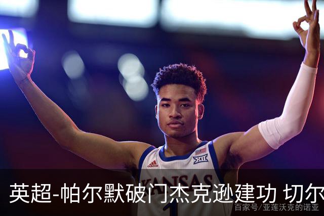 英超-帕尔默破门杰克逊建功 切尔西2-1纽卡斯尔